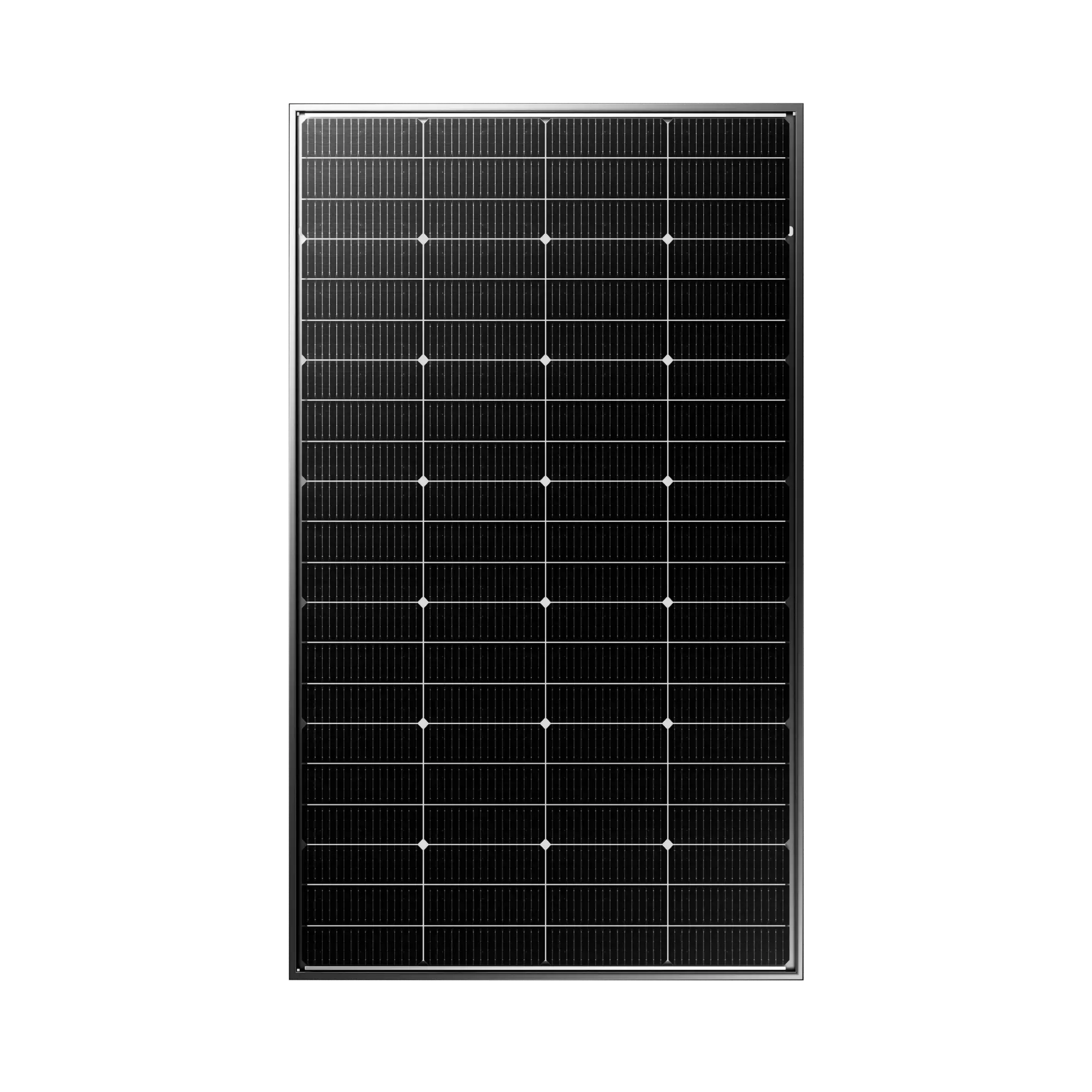 Bifacial 200W Monocrystalline Solar Panel