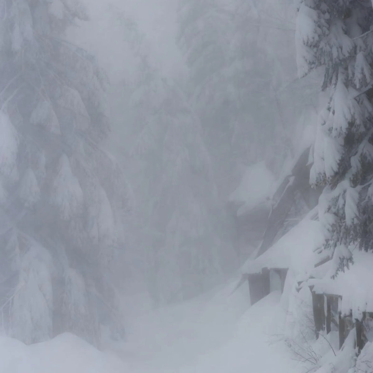 January 2026 Winter Storm Across the U.S.: Impacts, Official Reports, and How Homeowners Can Prepare