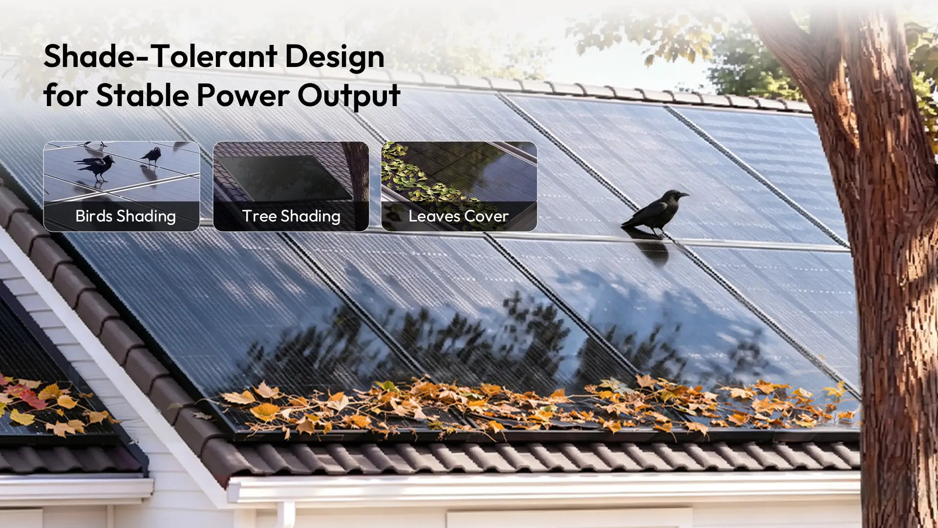 jjn 425w solar panels