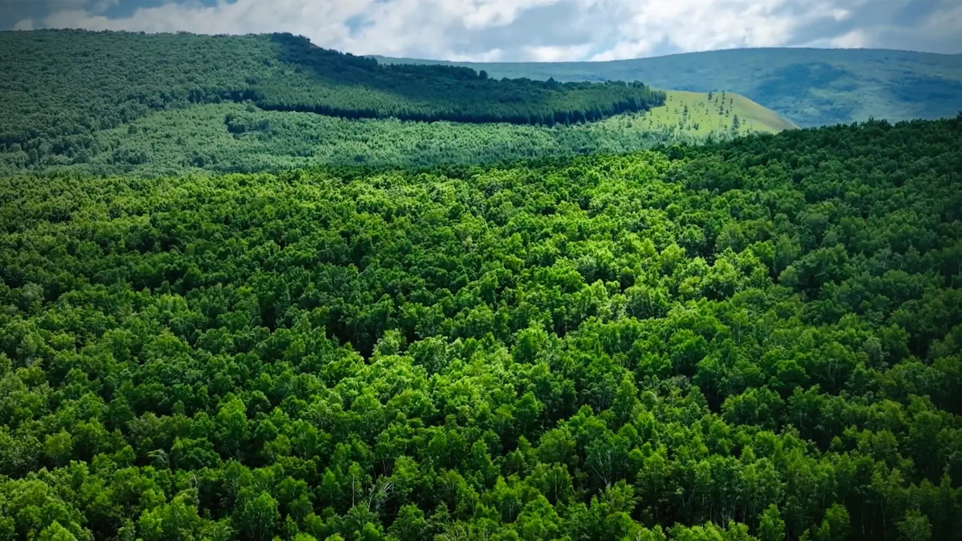 jjn solar panels clean Power